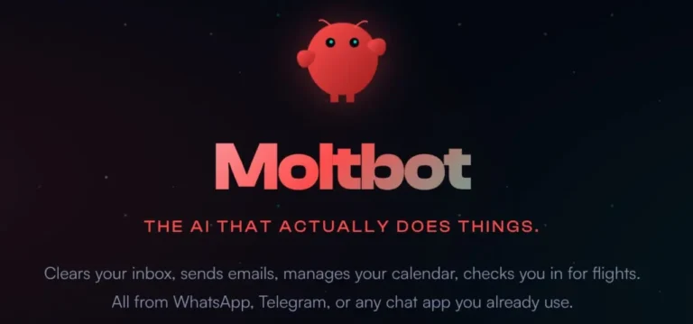 Image montrant la page d'accueil du site de Moltbot